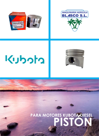 Repuestos para motores Kubota piston Agricola Blasco